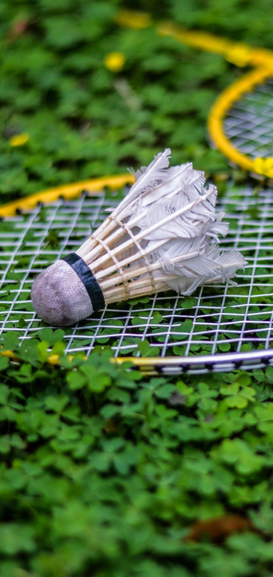 Hd Badminton Wallpapers