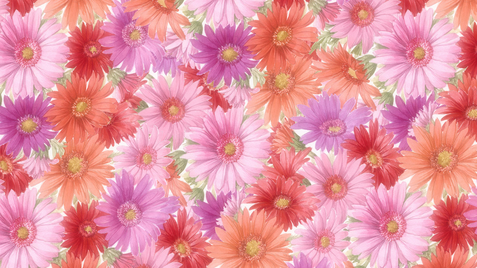 Hd Flowers Images Wallpapers