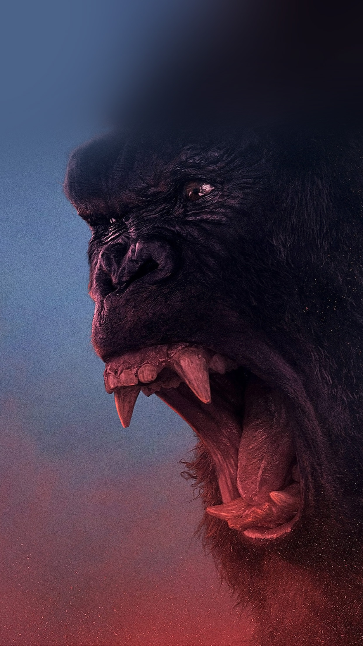 Hd Gorilla Wallpapers