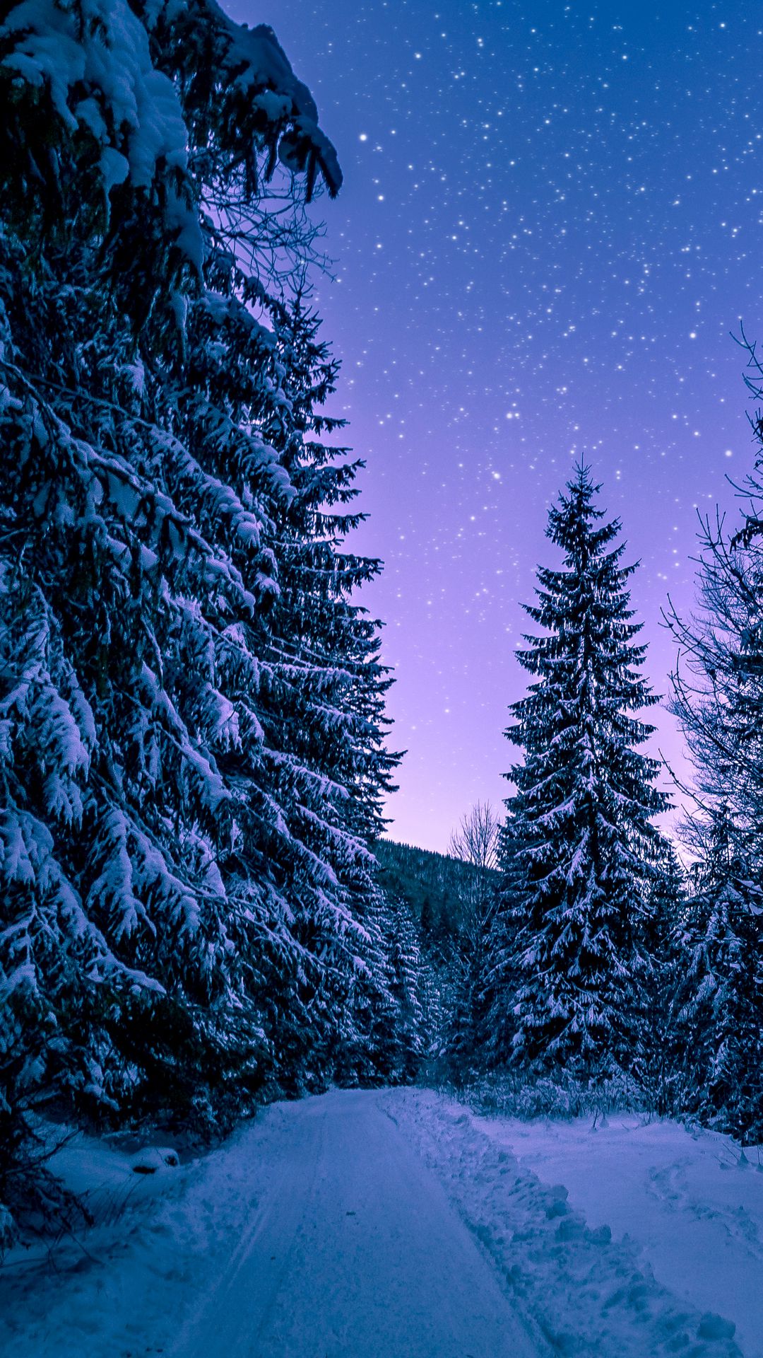 Hd Winter Wallpapers