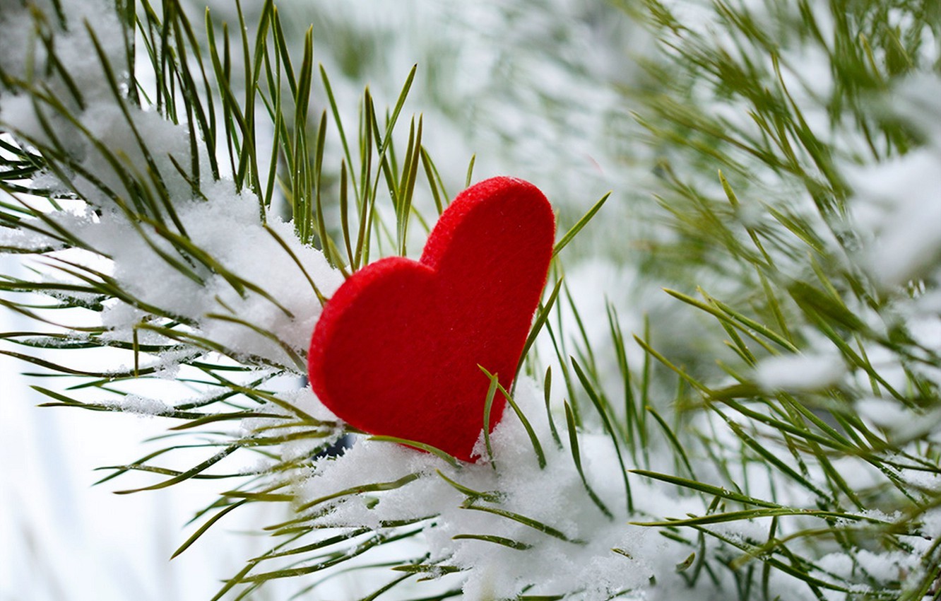 Heart In The Snow Wallpapers