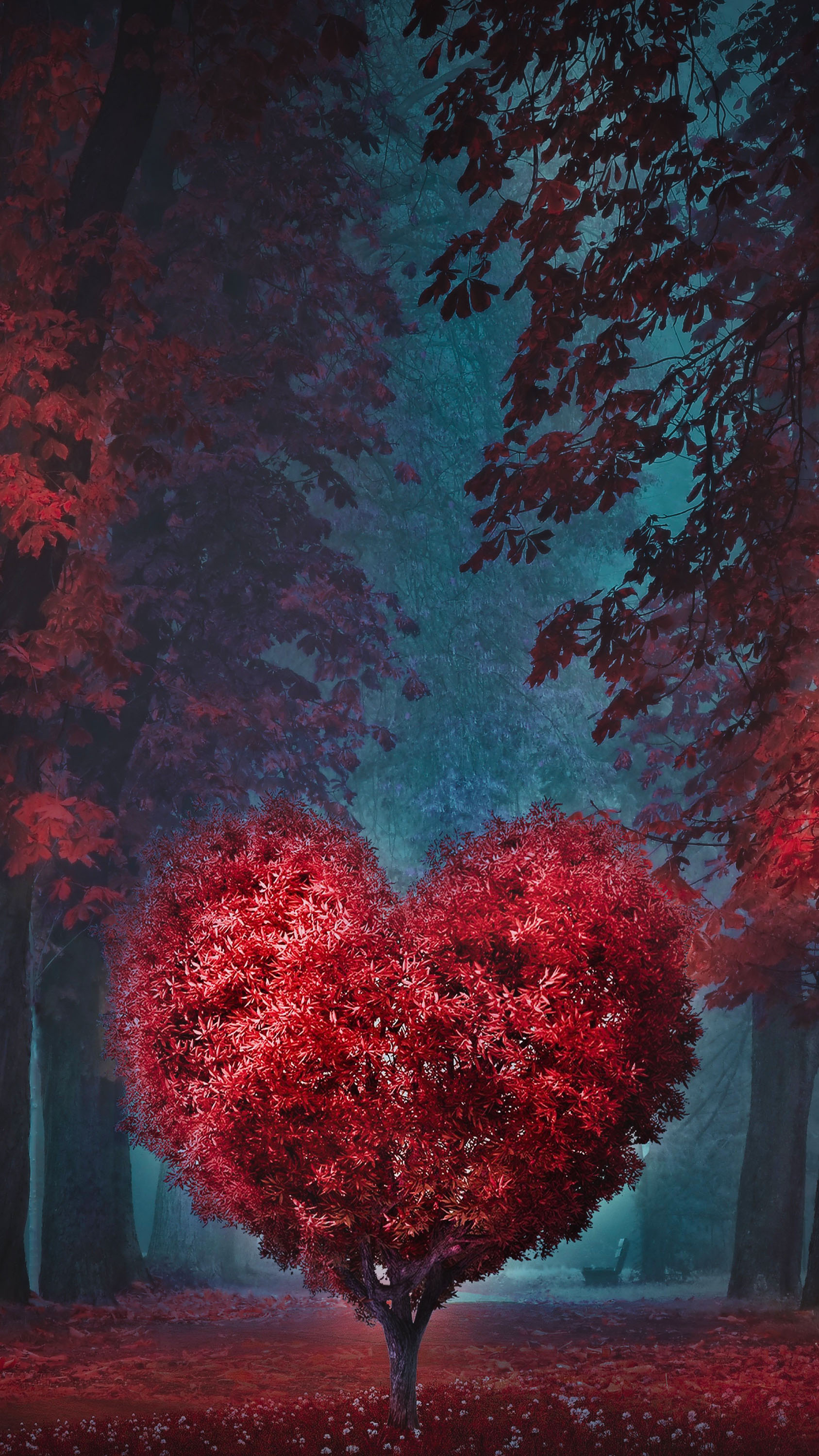 Heart Tree Images Wallpapers