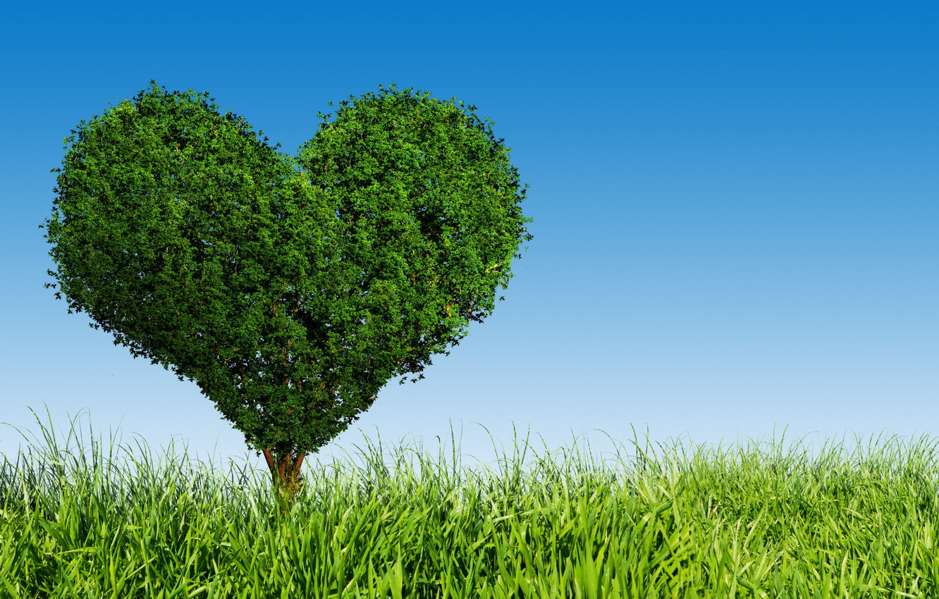 Heart Tree Images Wallpapers