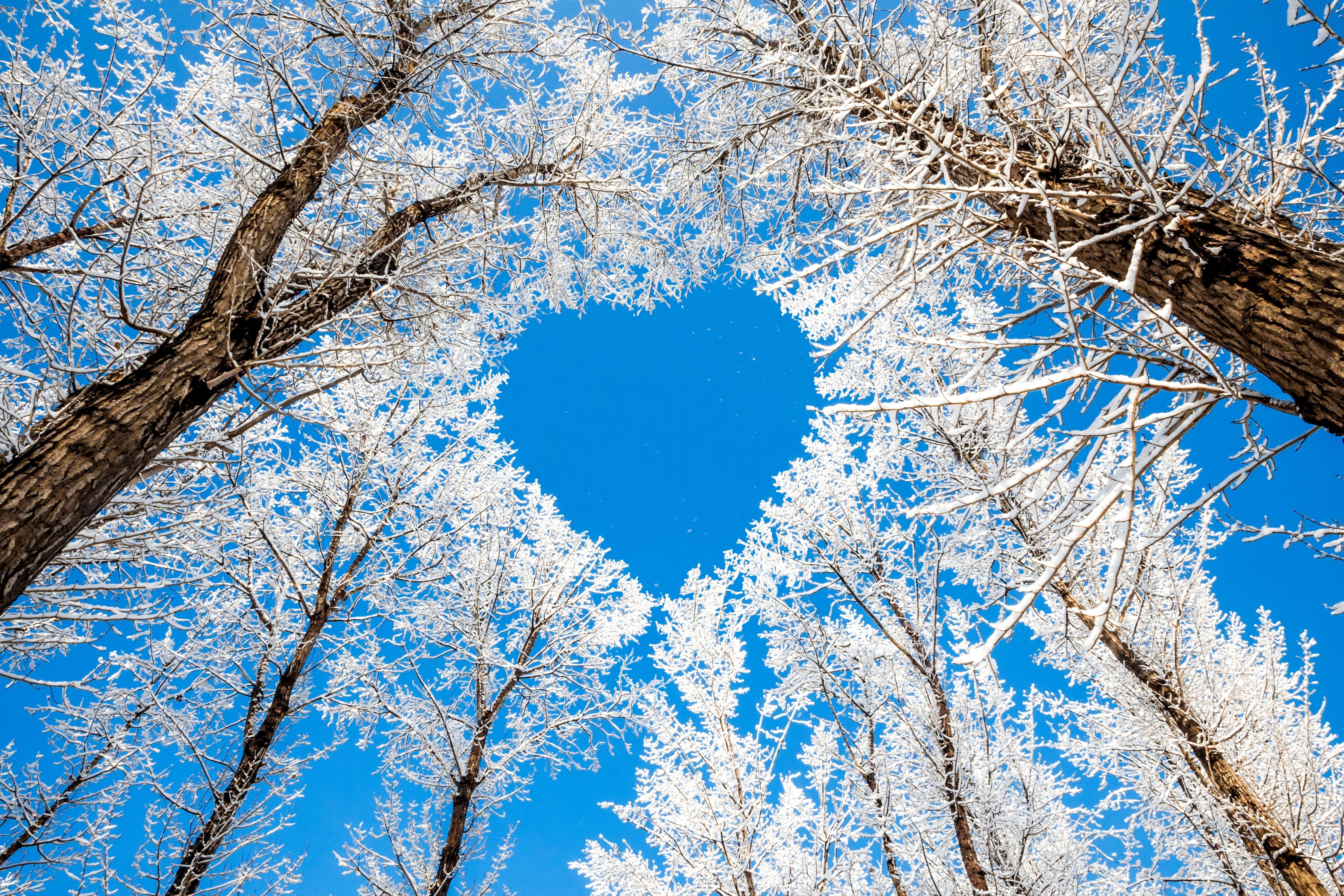 Hearts In Nature Images Wallpapers