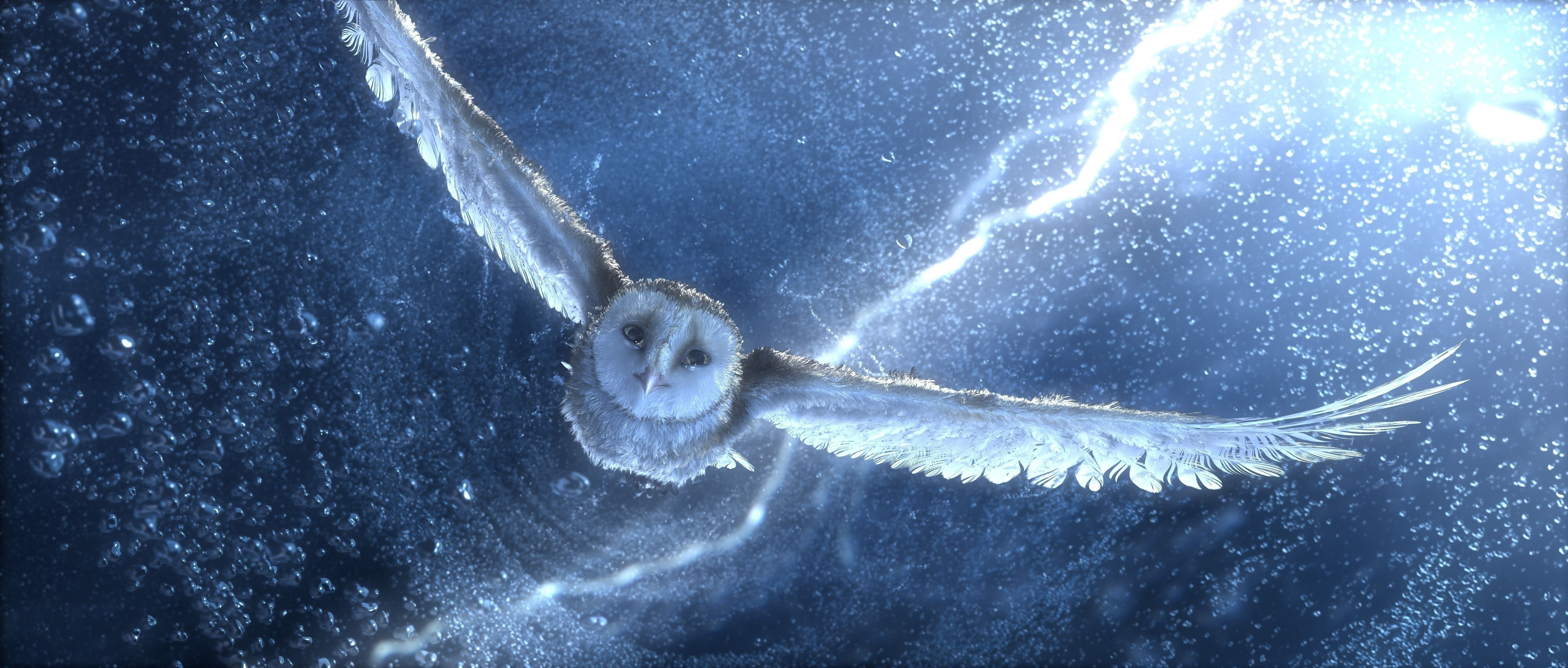 Hedwig Wallpapers