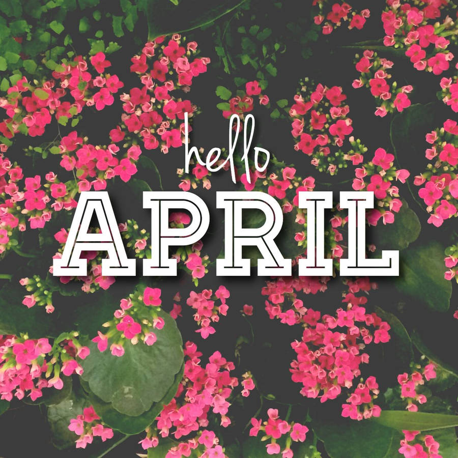 Hello April Wallpapers