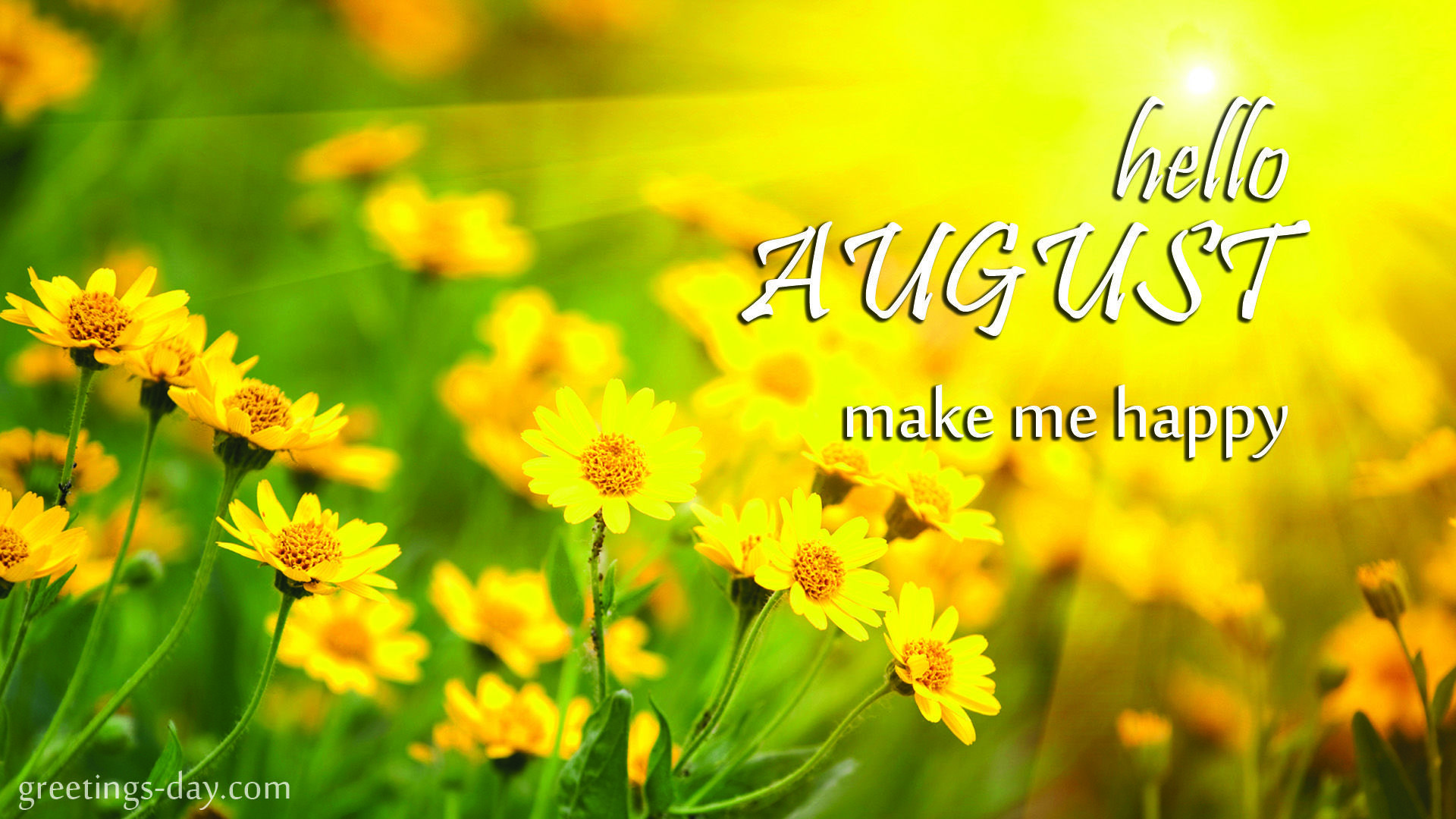 Hello August Images Wallpapers