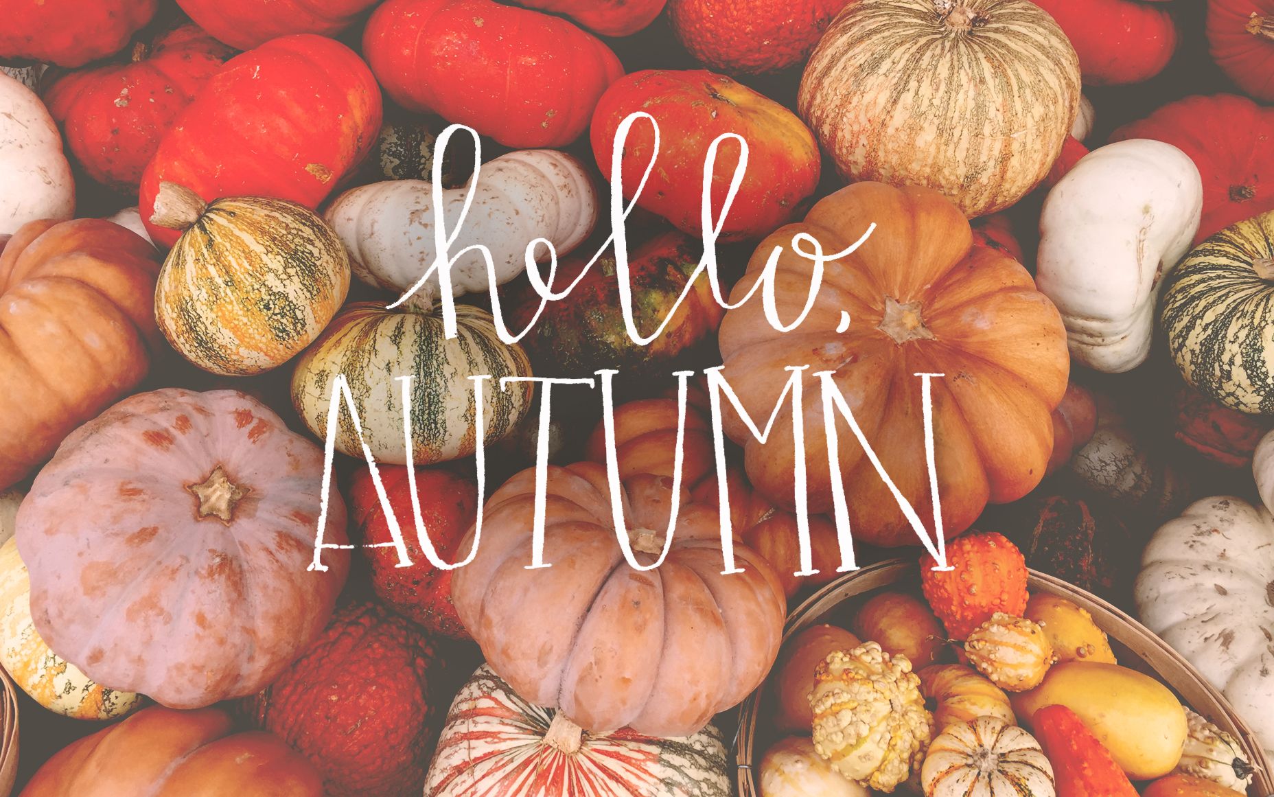 Hello Autumn Wallpapers