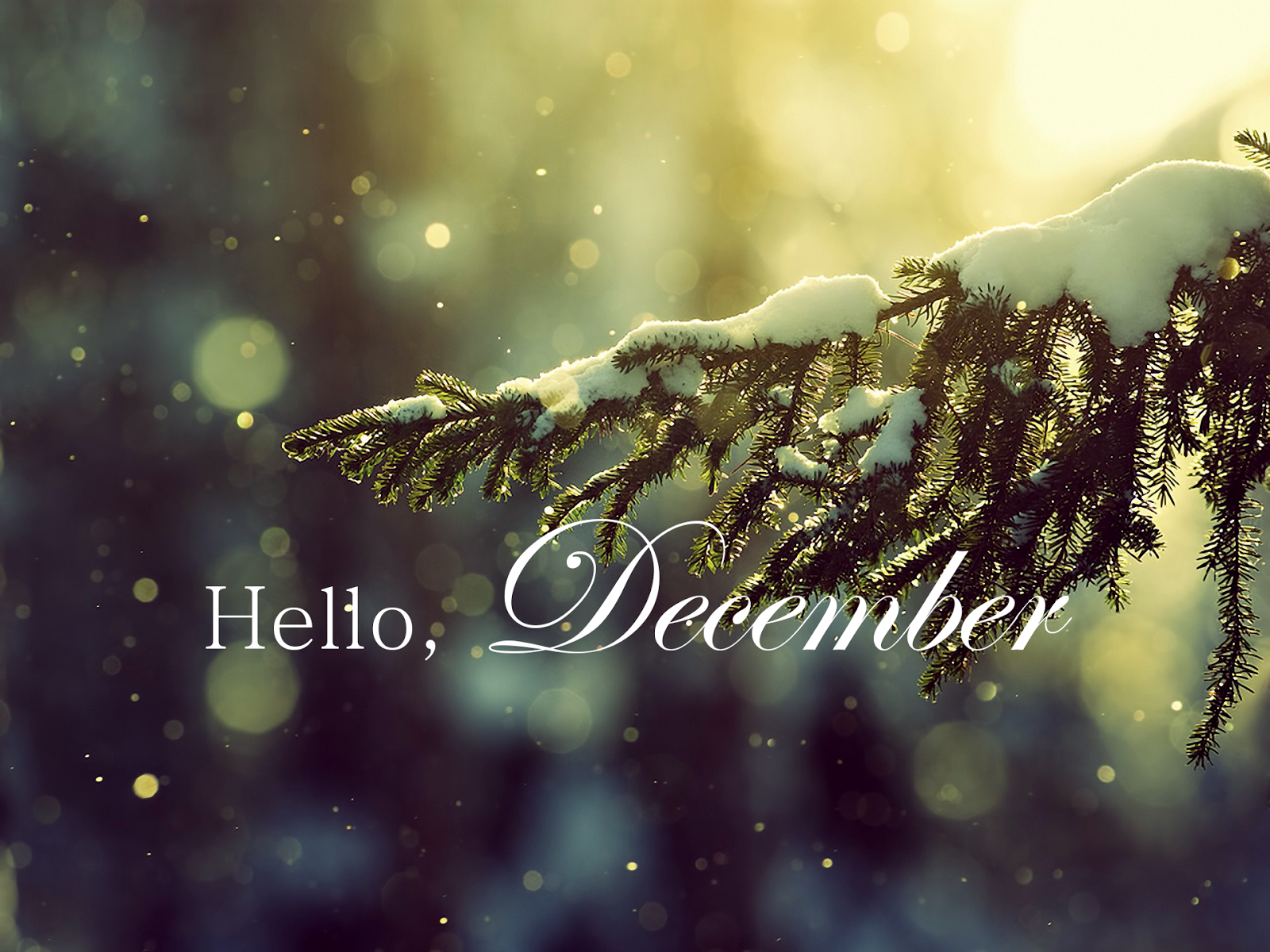 Hello December Wallpapers