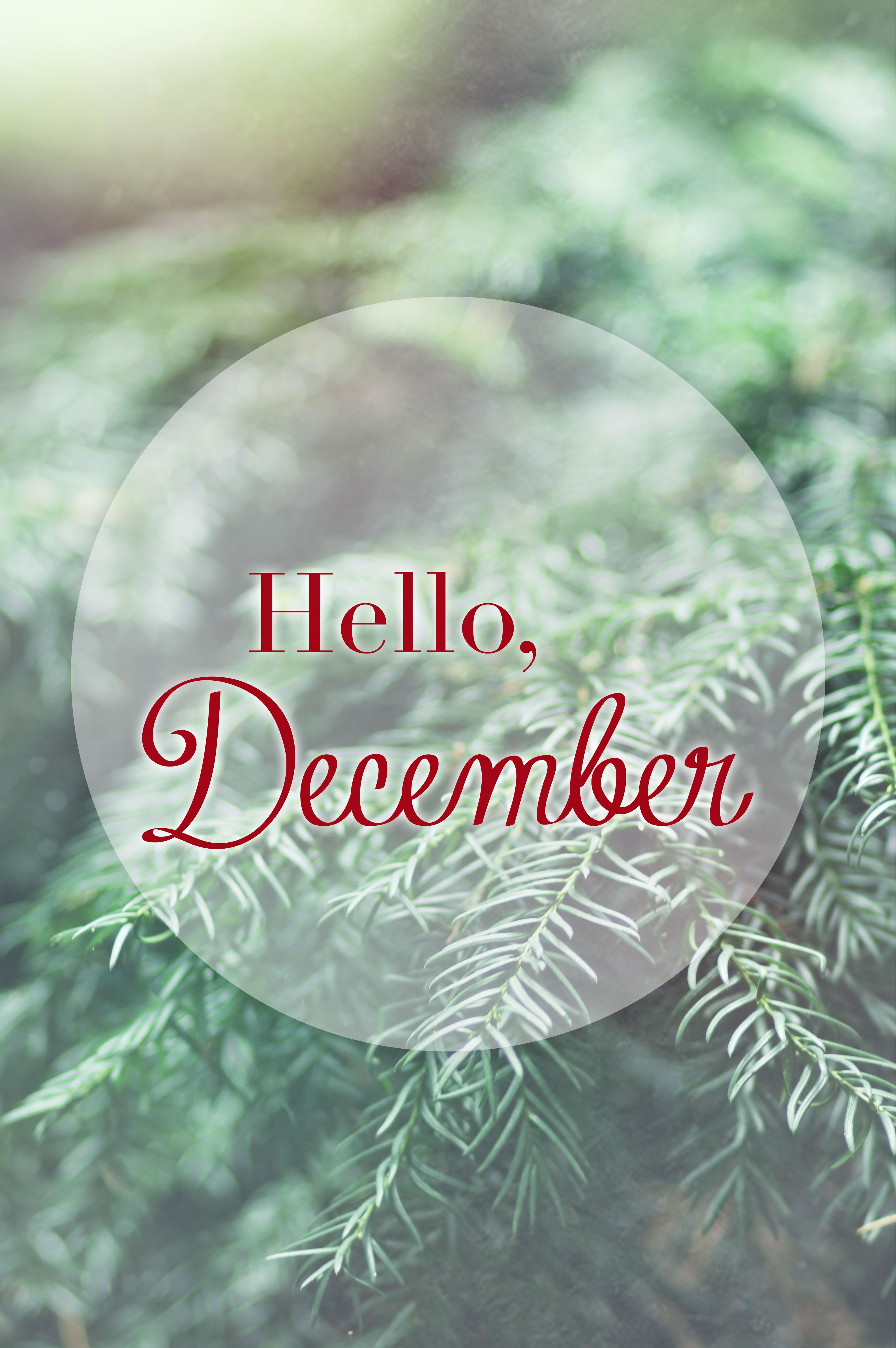 Hello December Wallpapers