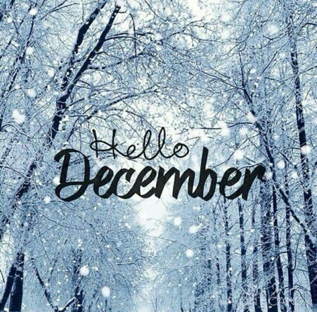 Hello December Wallpapers