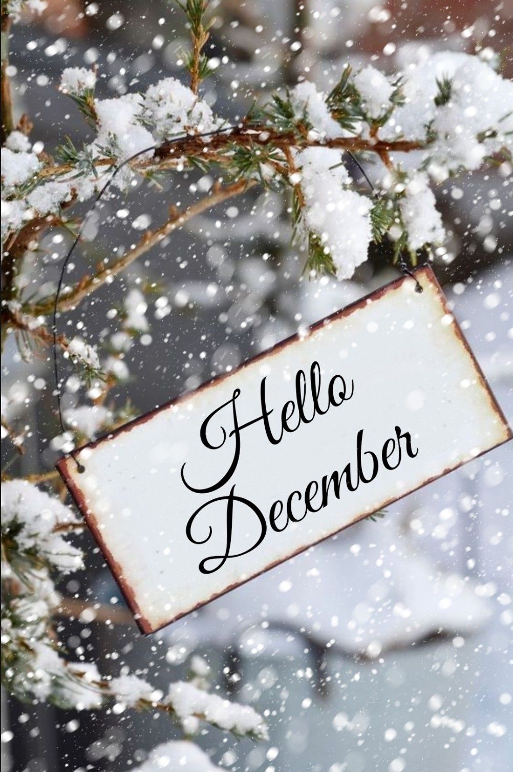 Hello December Wallpapers