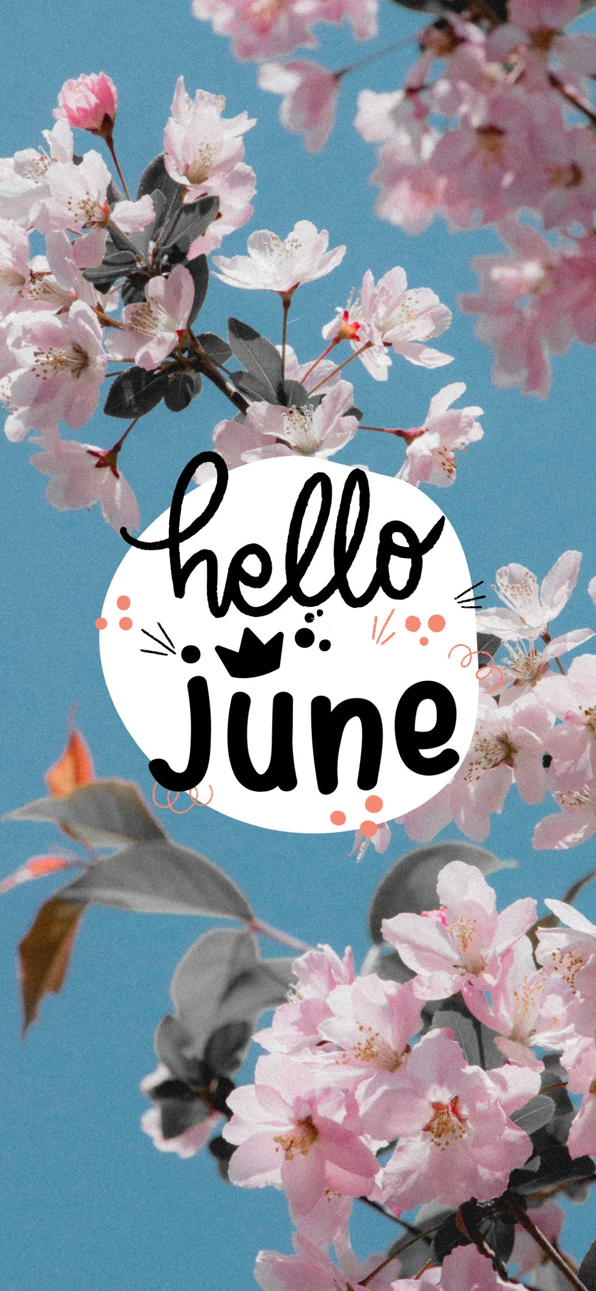 Hello June Wallpapers