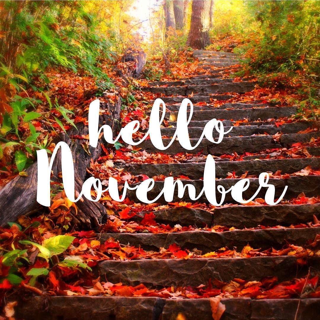 Hello November Image Wallpapers