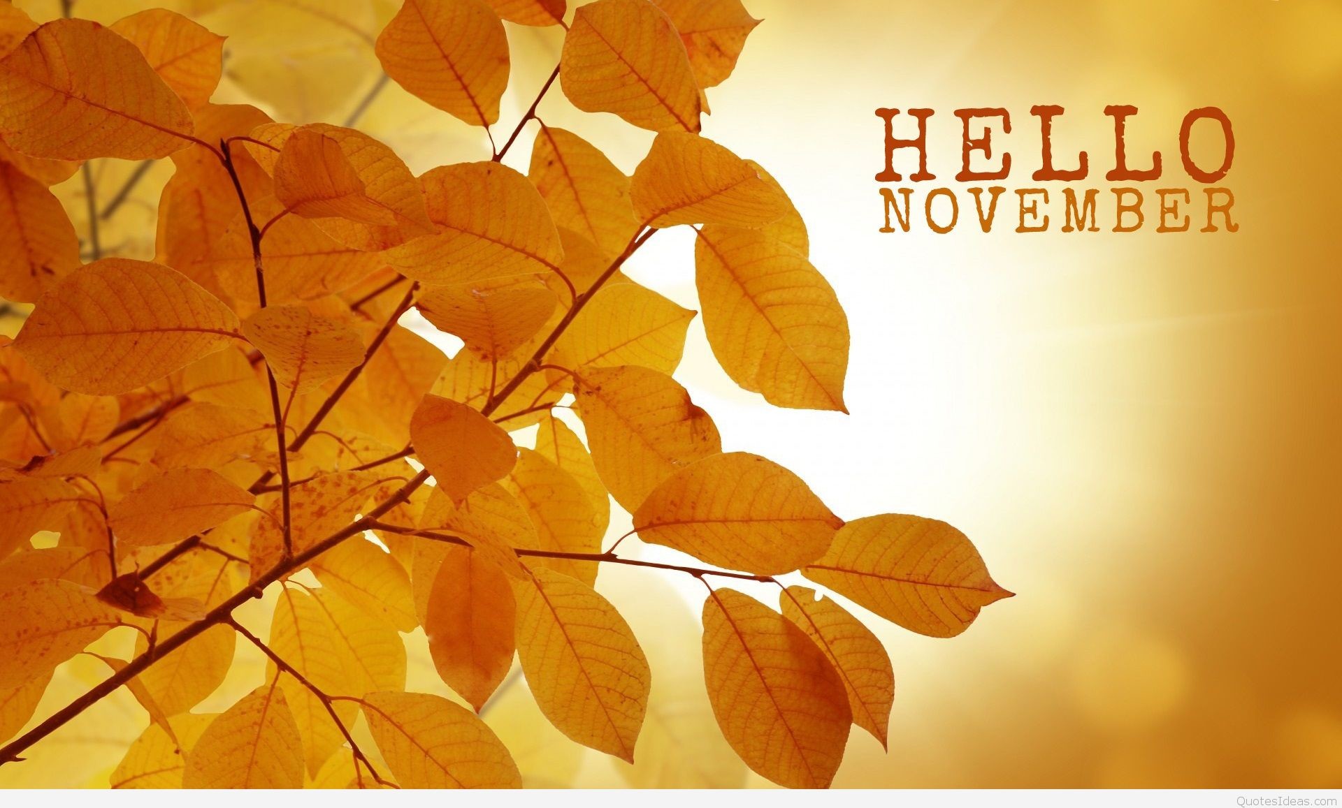 Hello November Image Wallpapers