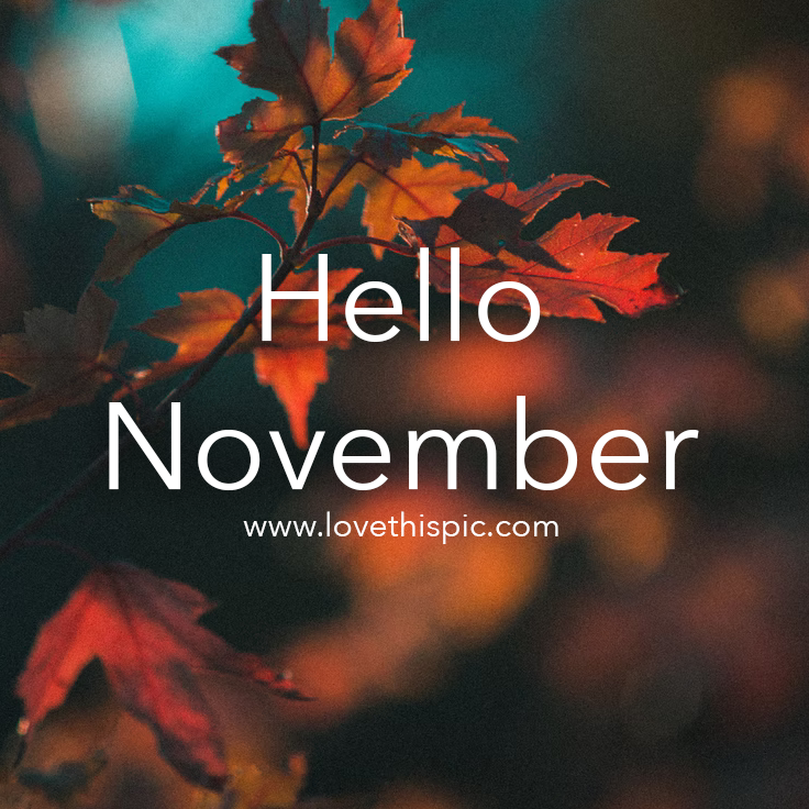 Hello November Image Wallpapers