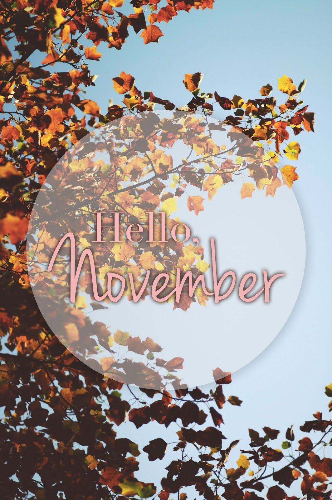 Hello November Image Wallpapers