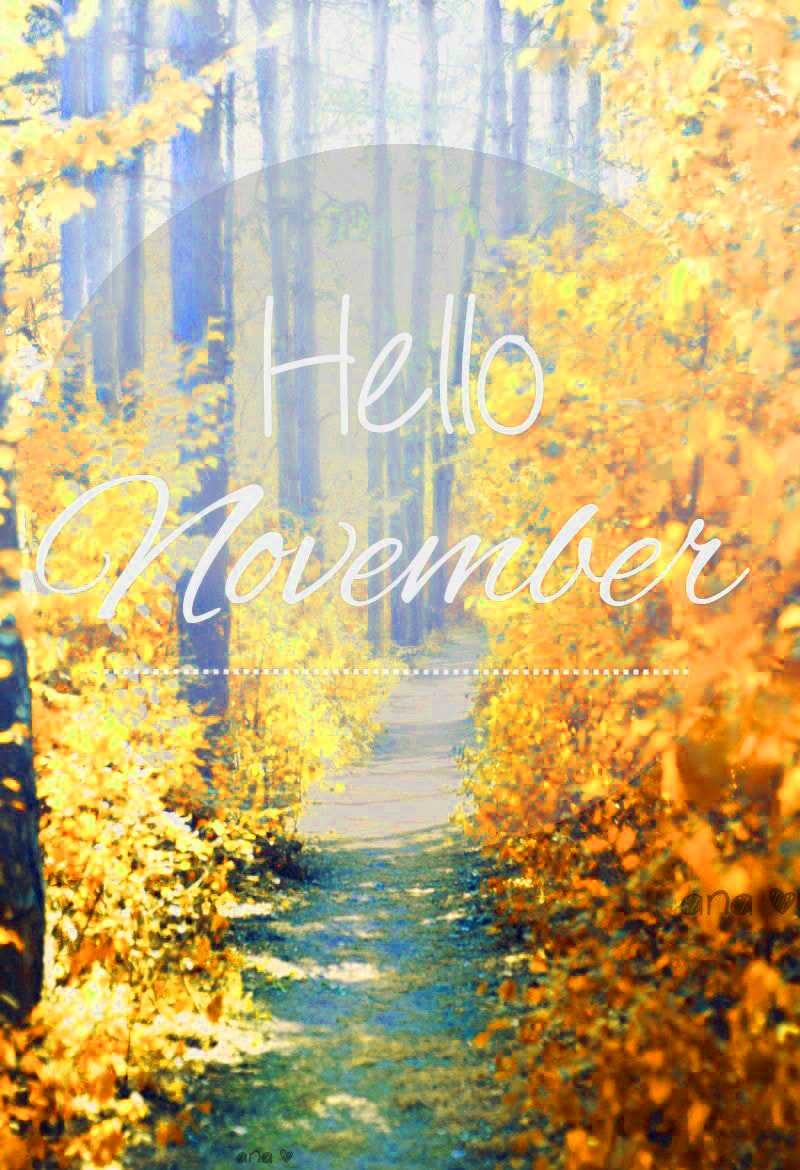 Hello November Wallpapers