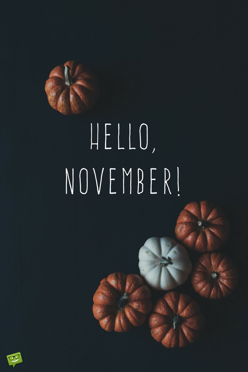 Hello November Wallpapers