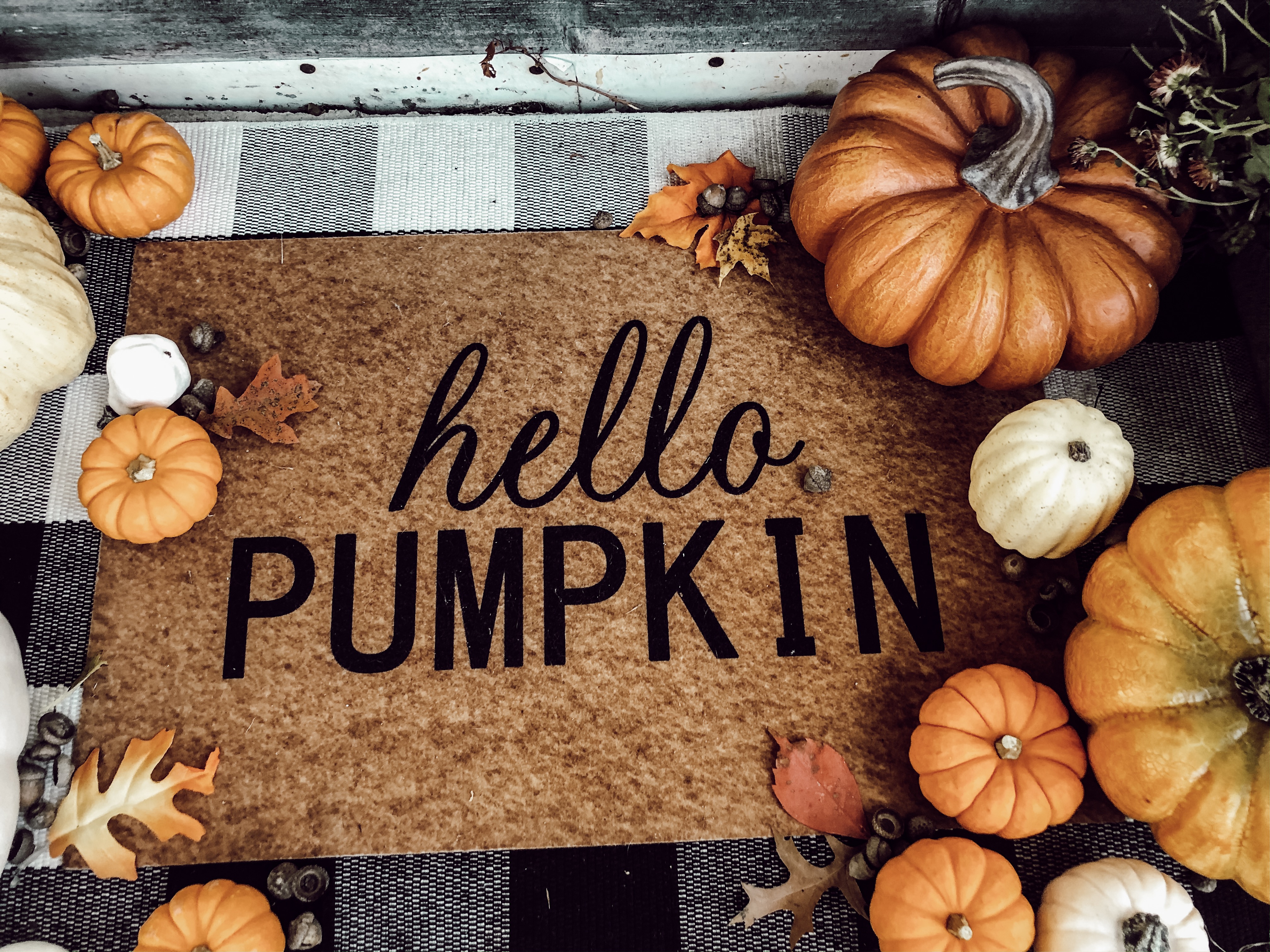 Hello Pumpkin Wallpapers