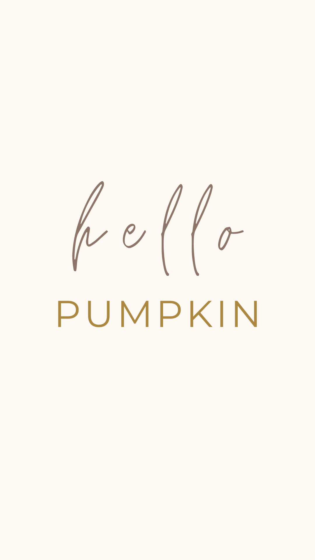 Hello Pumpkin Wallpapers