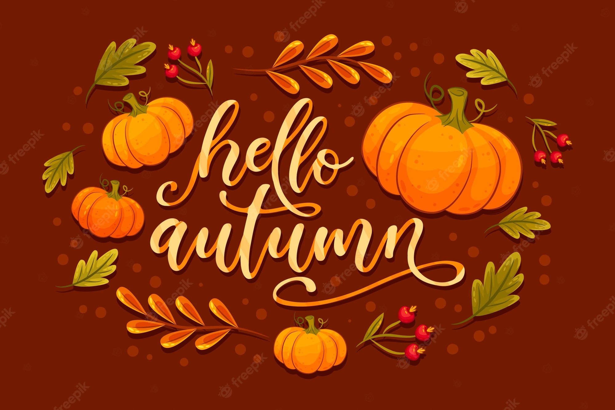 Hello Pumpkin Wallpapers