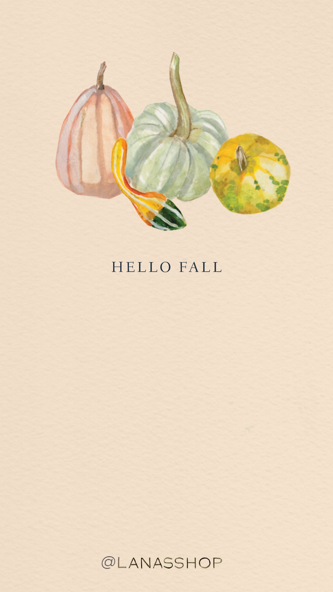 Hello Pumpkin Wallpapers