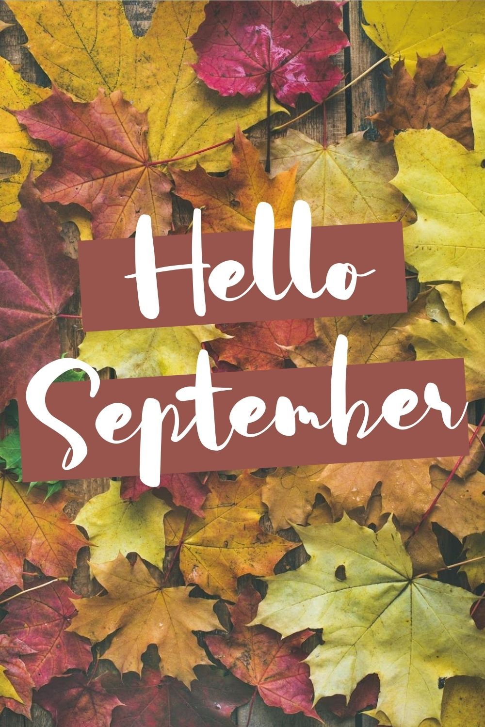 Hello September Images Wallpapers