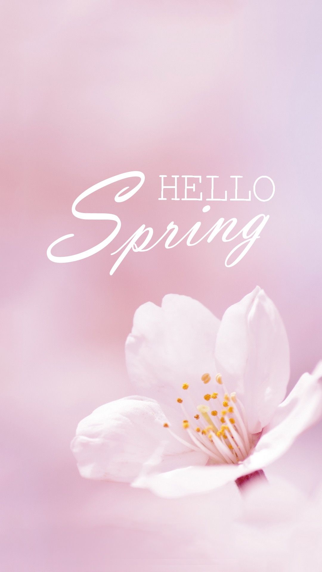 Hello Spring Wallpapers