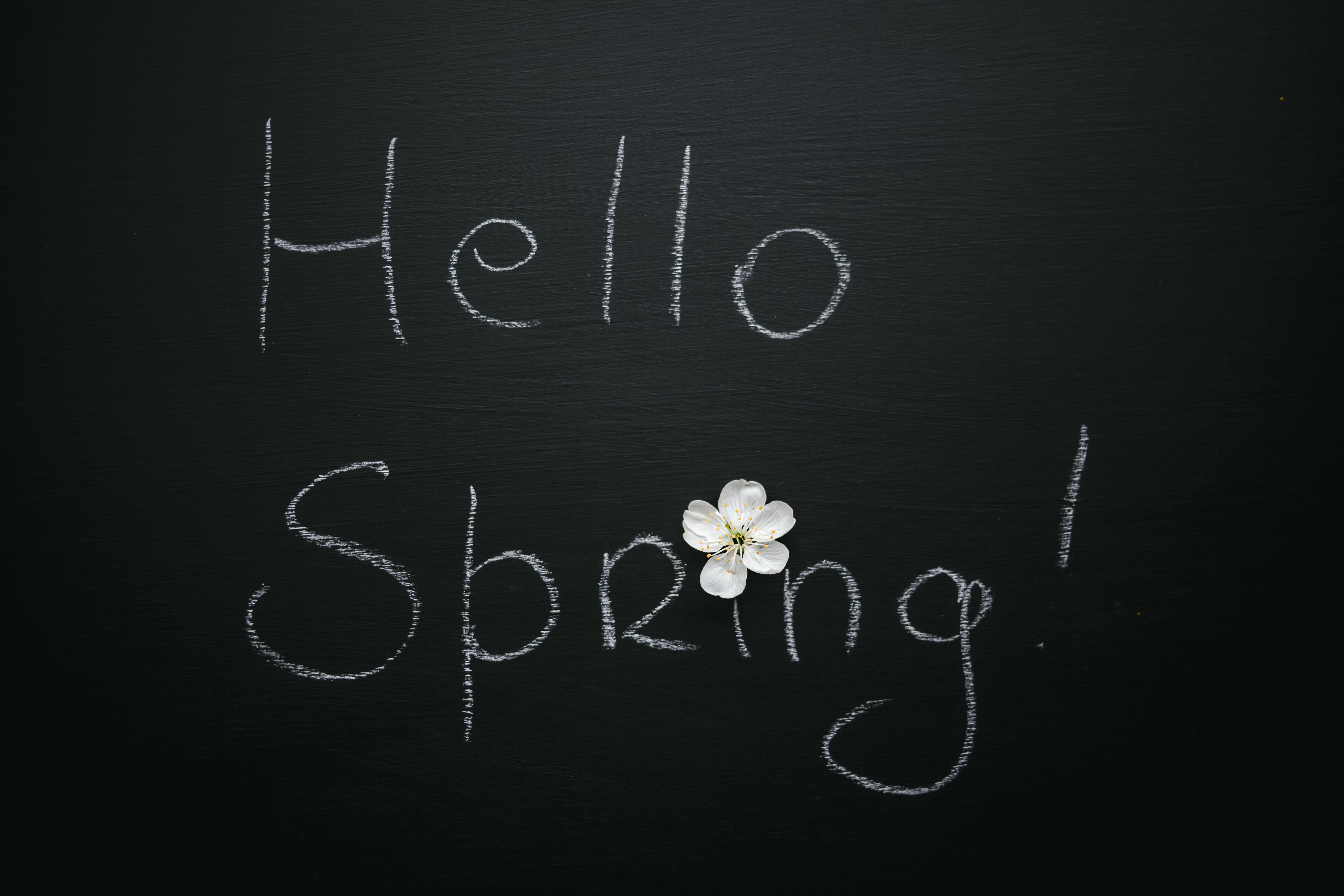 Hello Spring Wallpapers