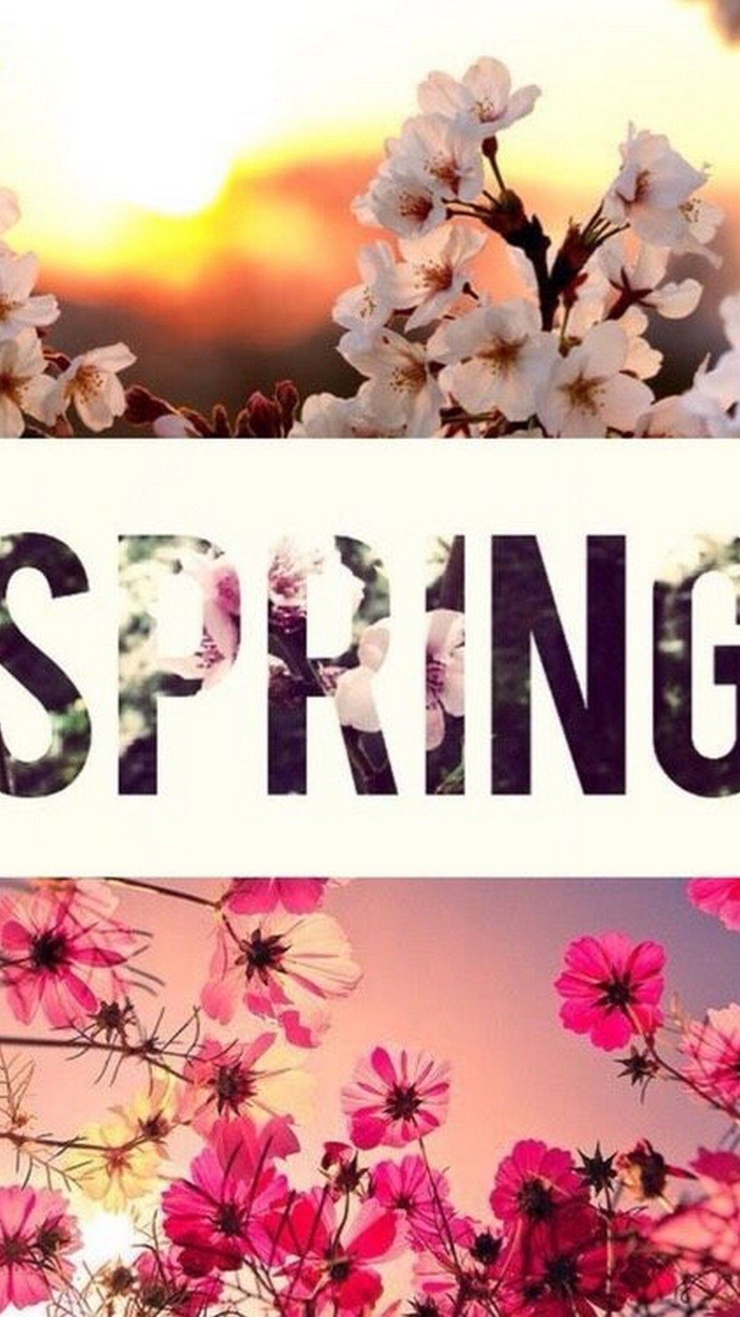 Hello Spring Wallpapers