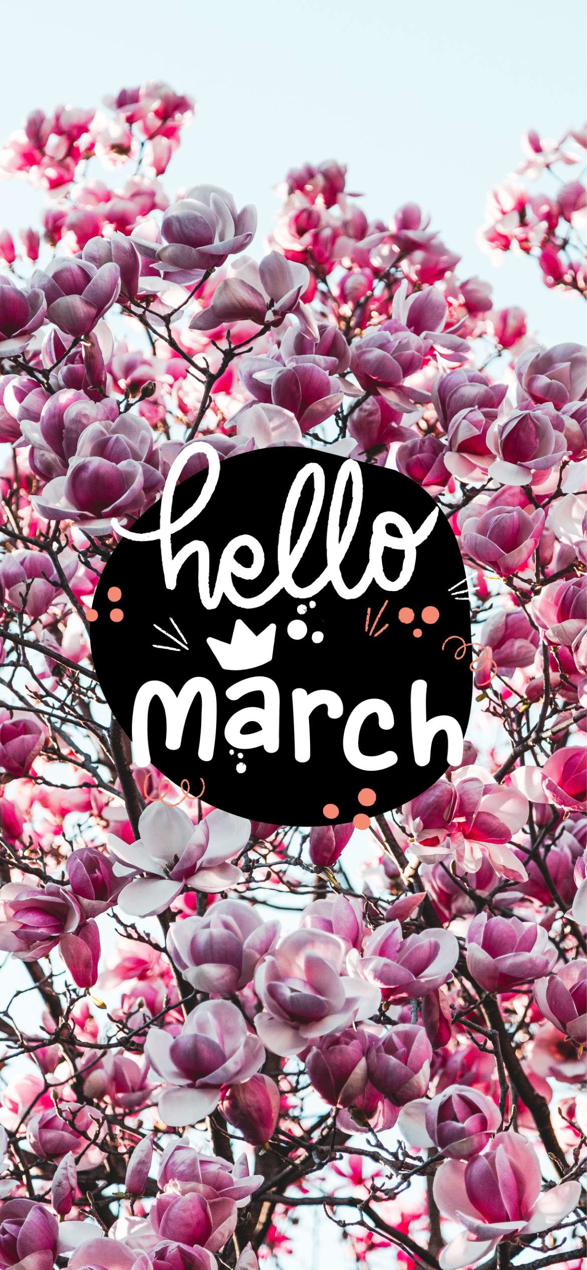 Hello Spring Wallpapers