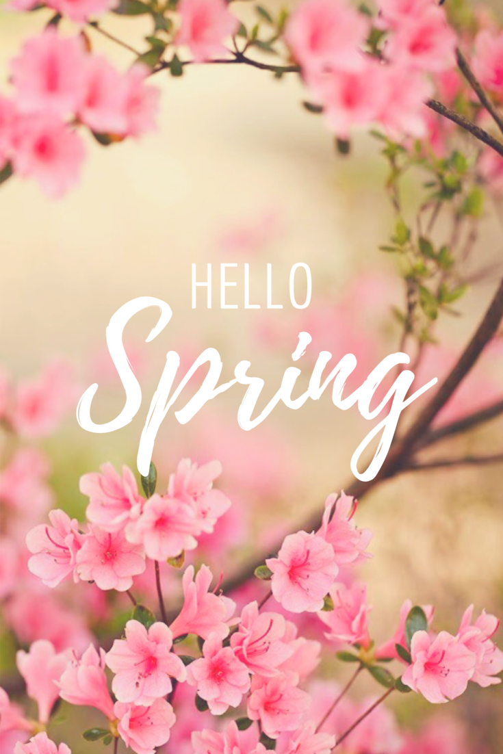 Hello Spring Wallpapers