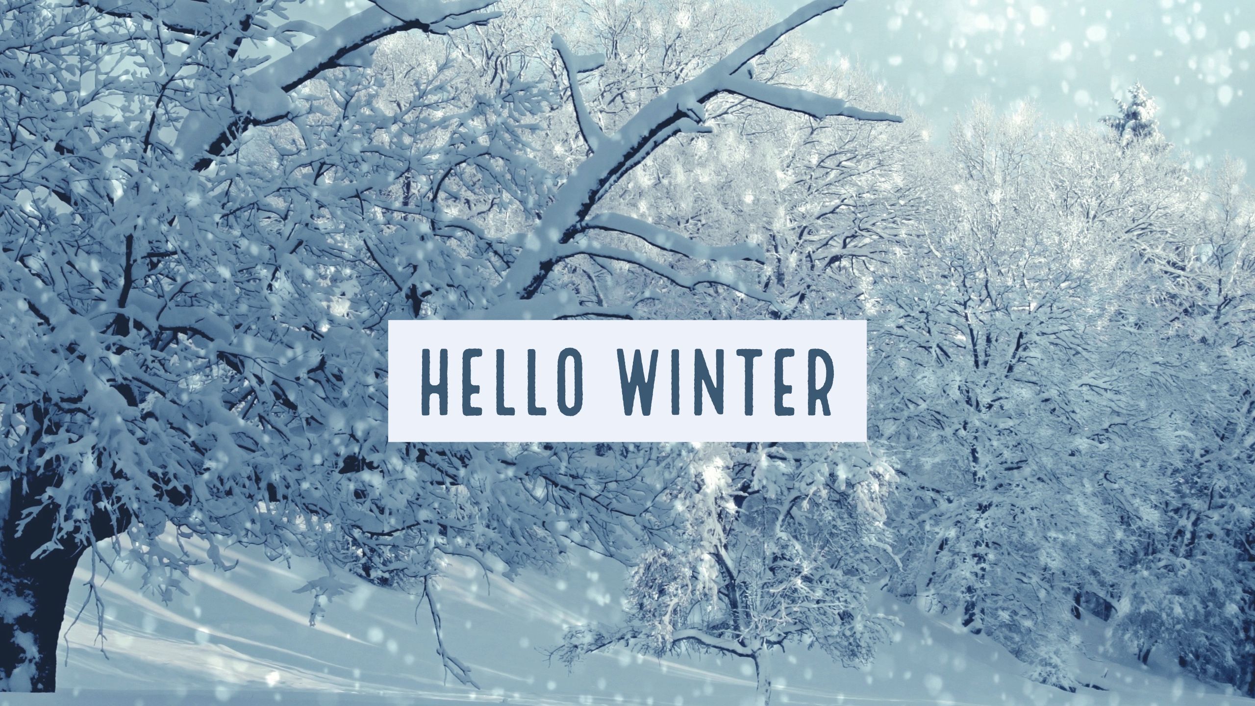 Hello Winter Wallpapers