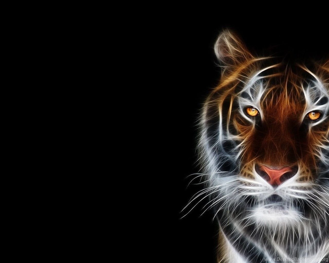 High Definition Animal Wallpapers