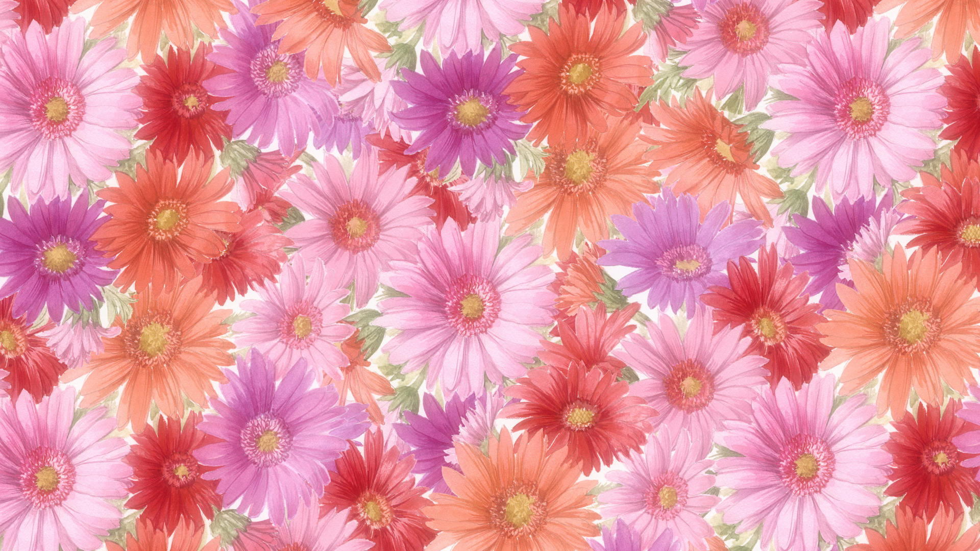 High Definition Flower Wallpapers