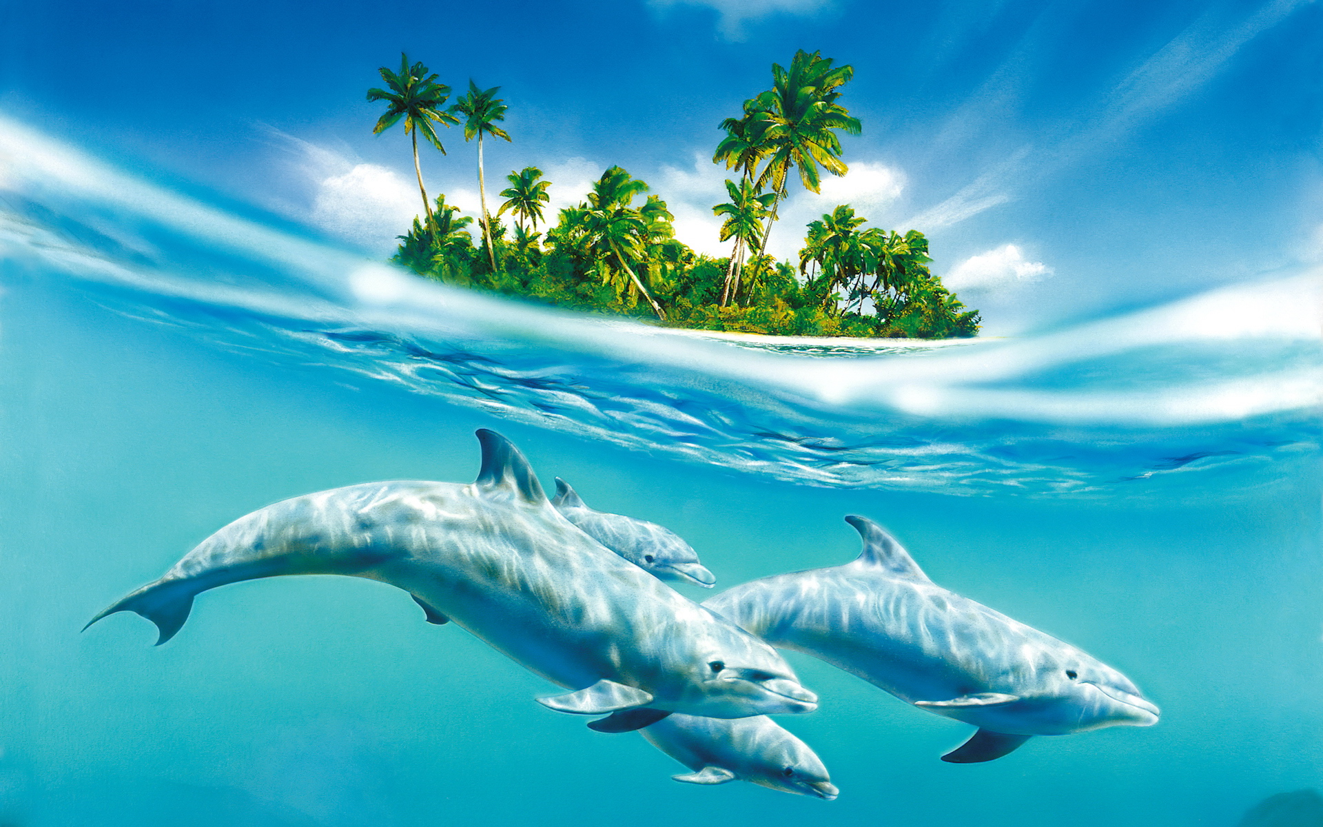 High Definition Ocean Wallpapers