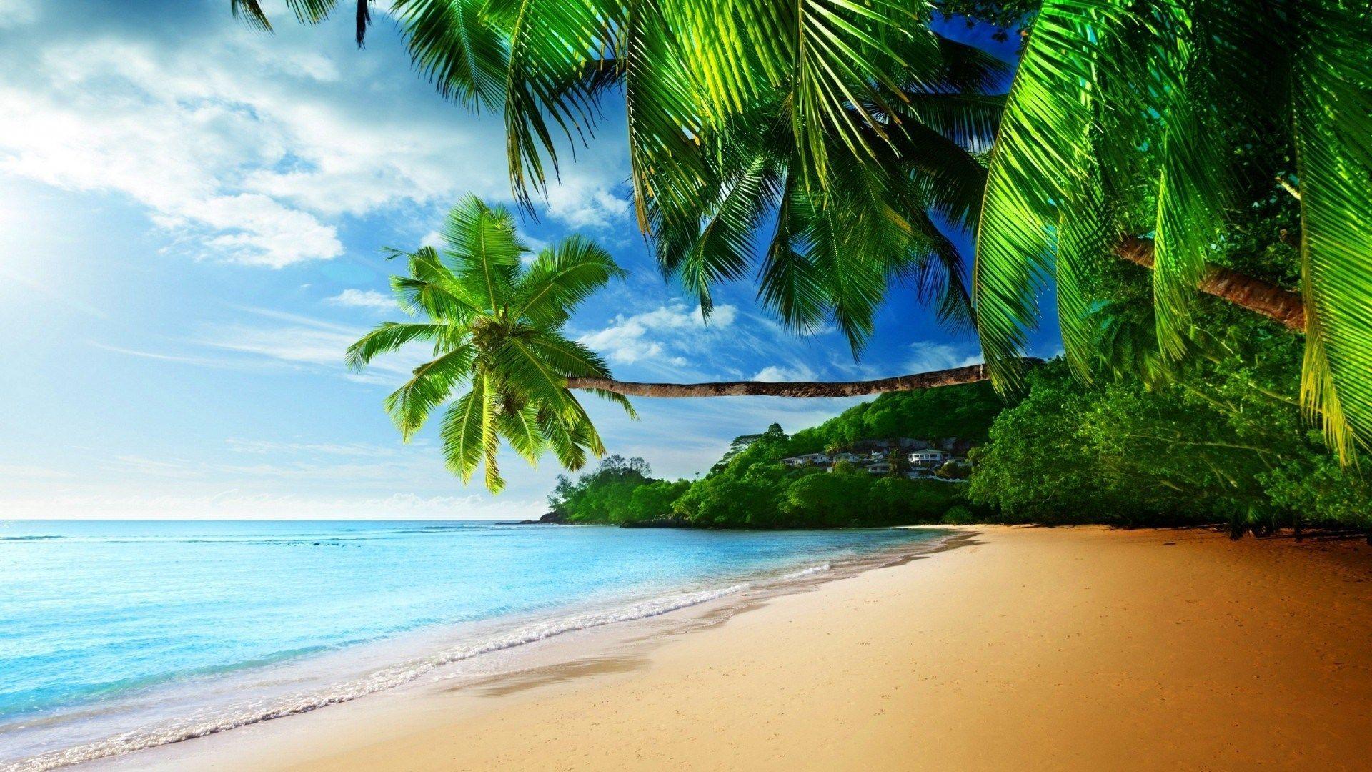 High Definition Tropical Wallpapers