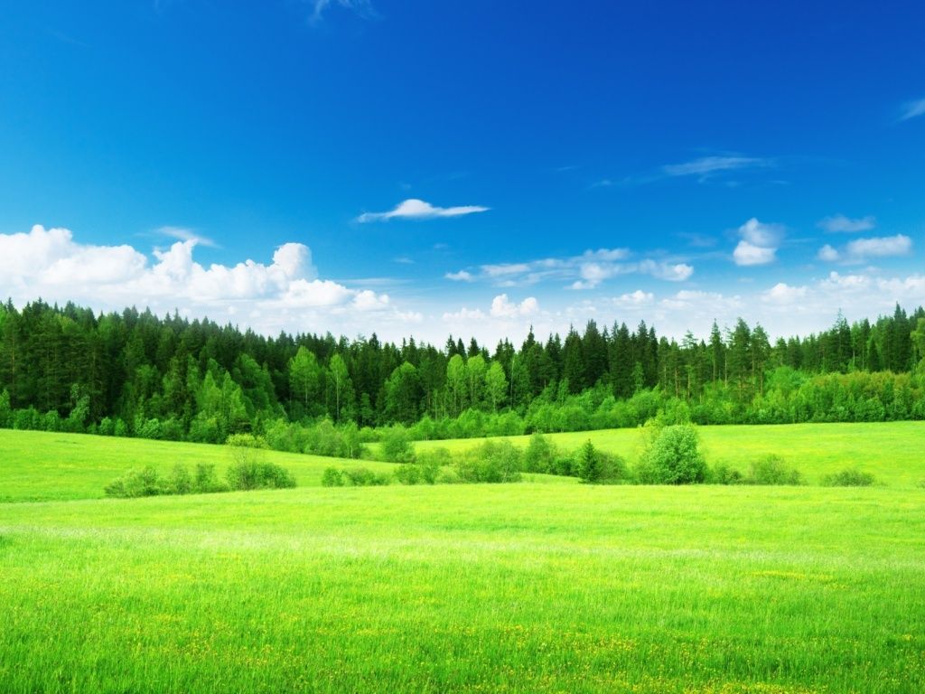 High Resolution Grass Field Wallpapers