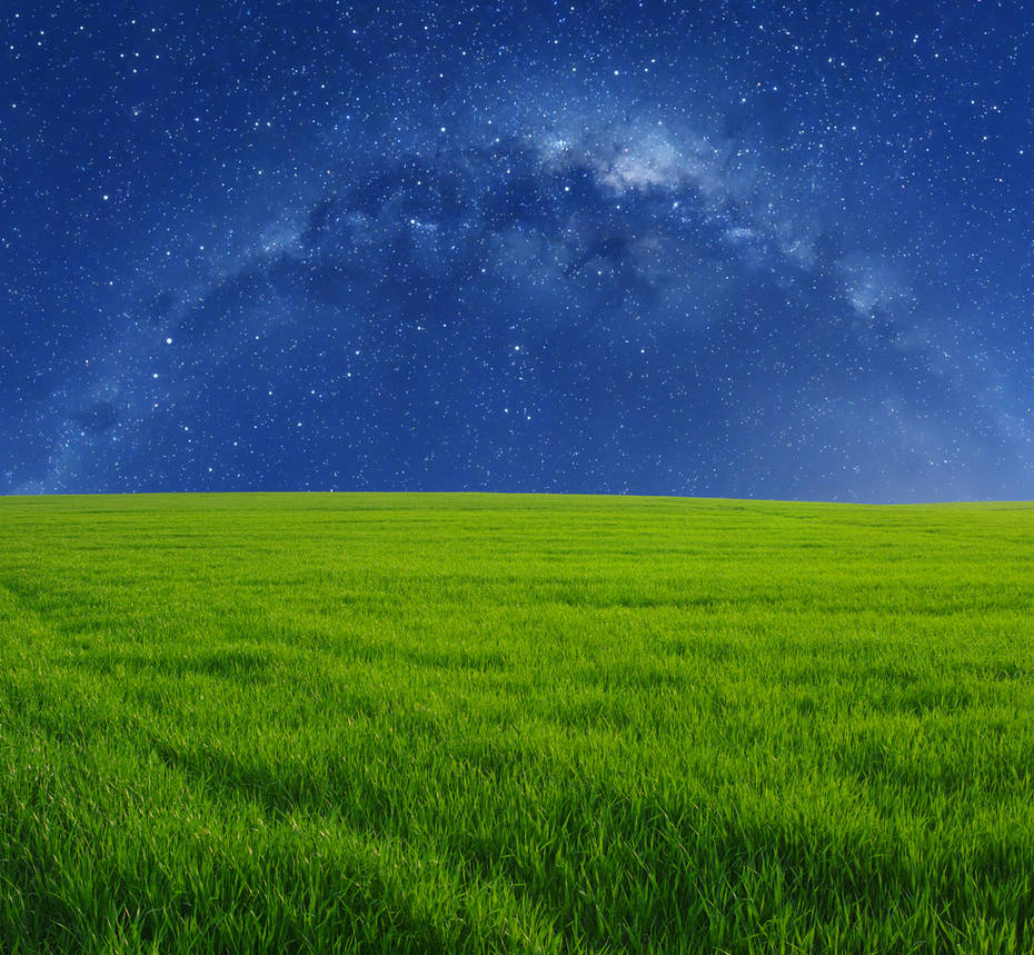 High Resolution Grass Field Wallpapers