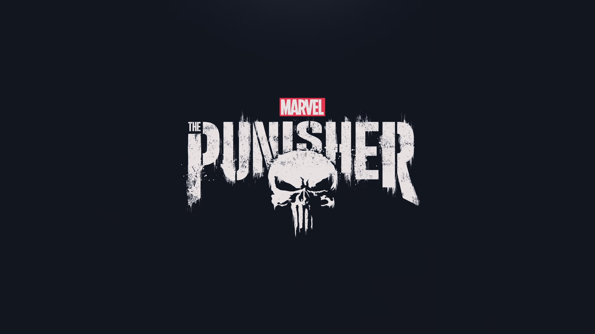 High Resolution Punisher Logo Wallpapers