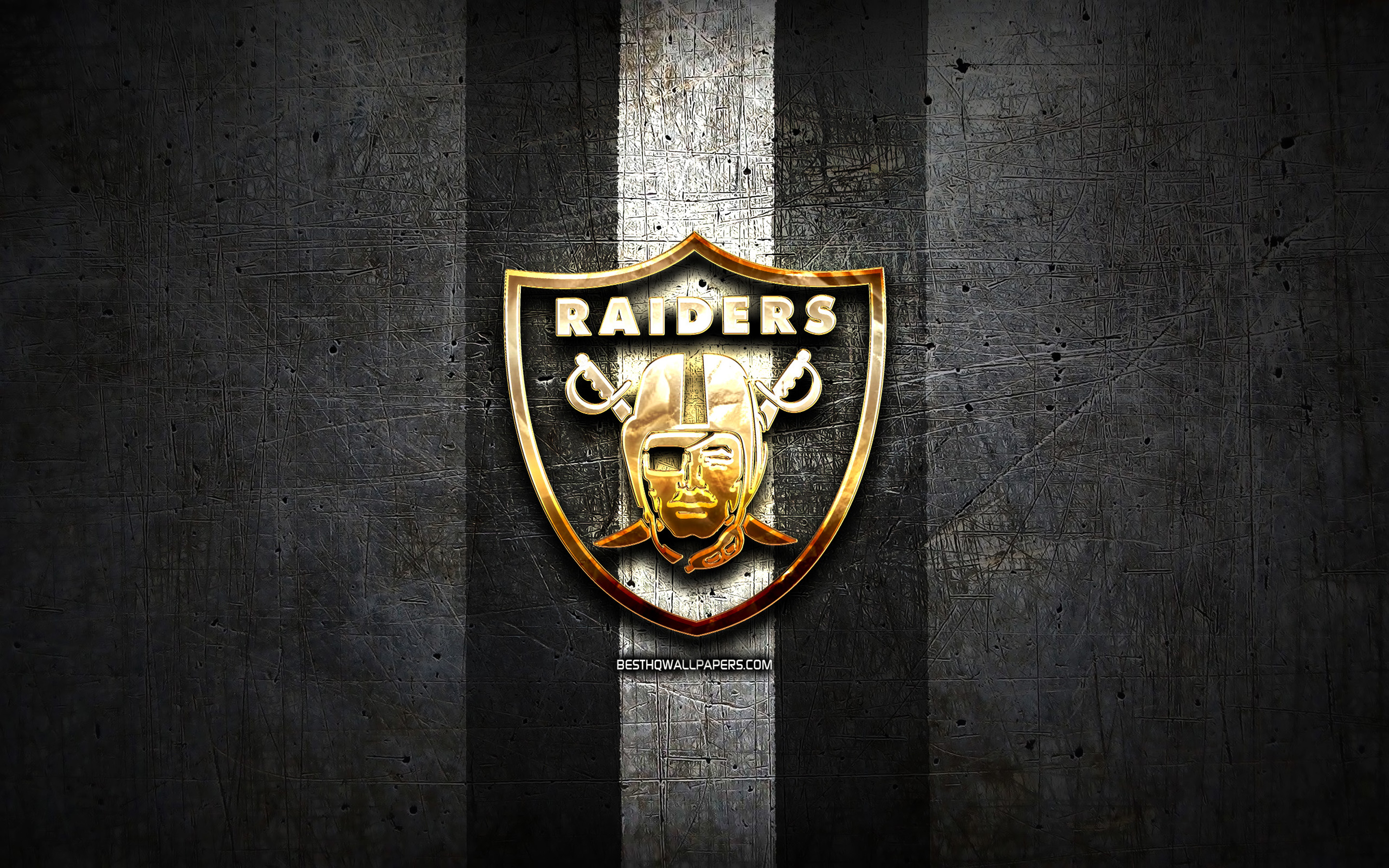 High Resolution Raiders Logo Wallpapers