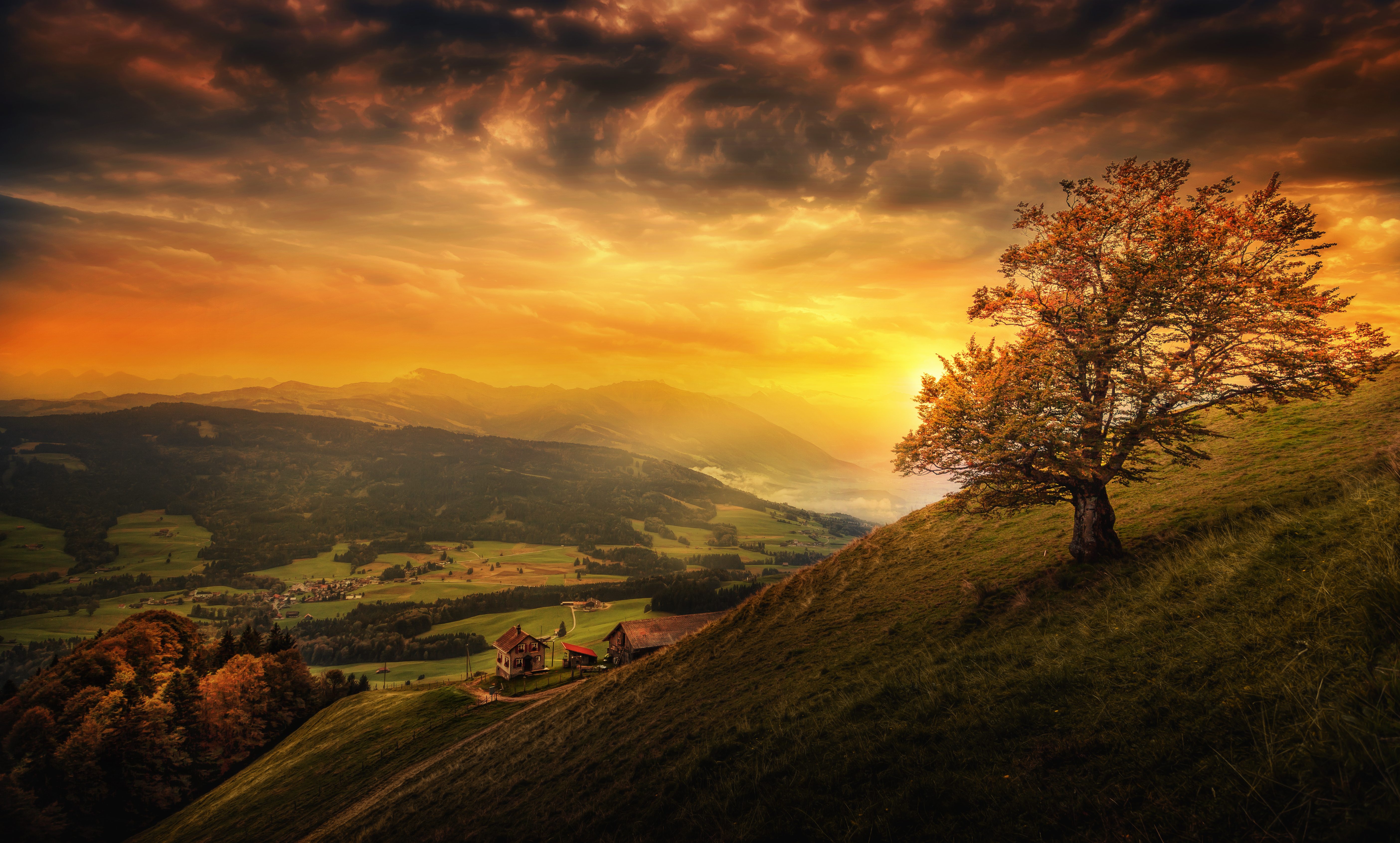 Hillside Wallpapers