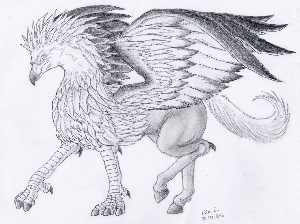 Hippogriff Patronus Wallpapers