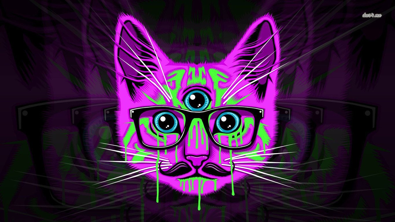 Hipster Cat Wallpapers