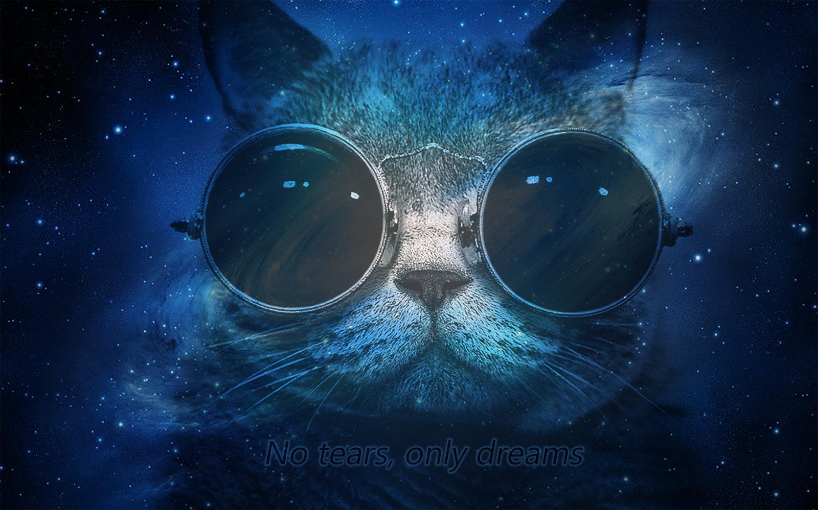 Hipster Cat Wallpapers