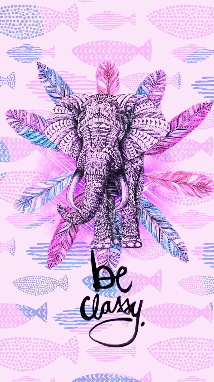 Hipster Elephant Wallpapers