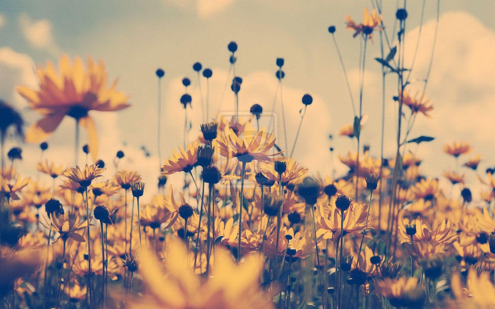 Hipster Flower Wallpapers