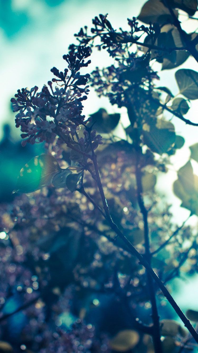 Hipster Spring Wallpapers