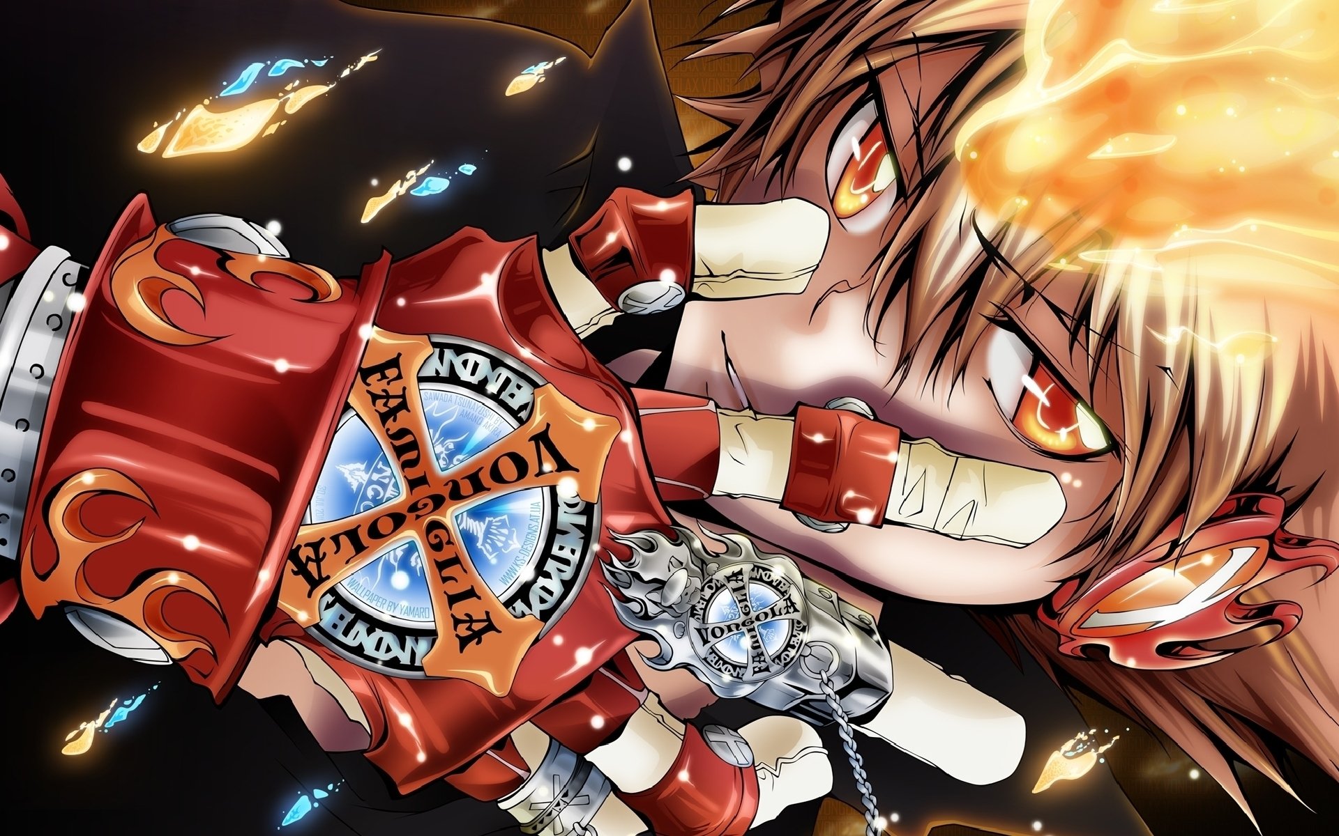 Hitman Reborn Tsunayoshi Wallpapers